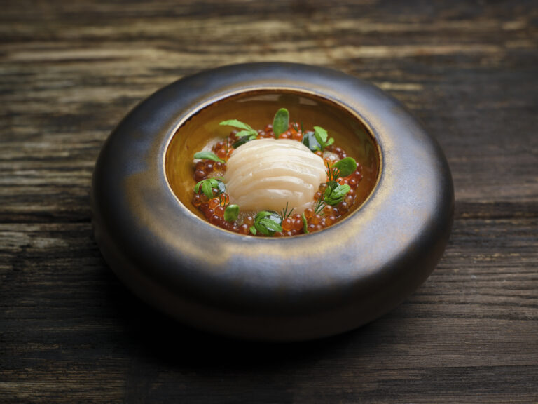 Scallop_L_8085
