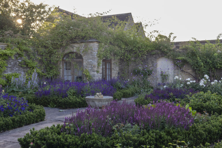5. Rose Garden