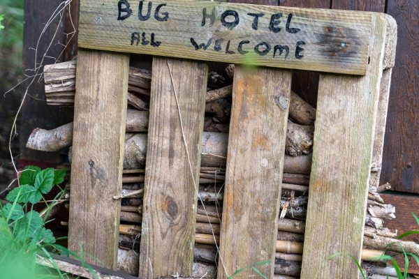 Bug Hotel